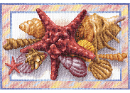 Набор для вышивания PANNA N-0465 (Н-0465) "Морская звезда"